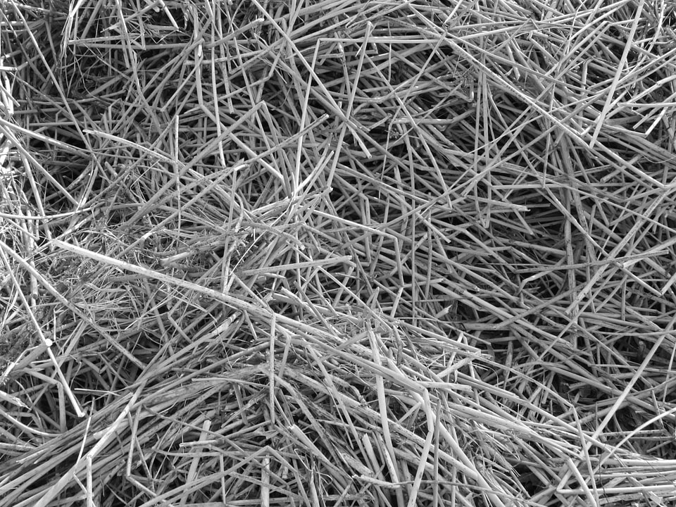 Texture background natural