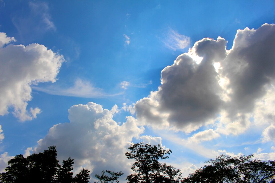 Landscape rays light