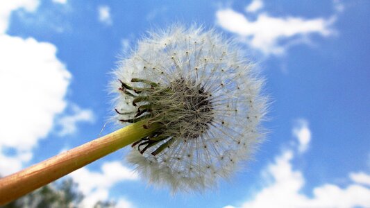 Clouds heaven macro photo