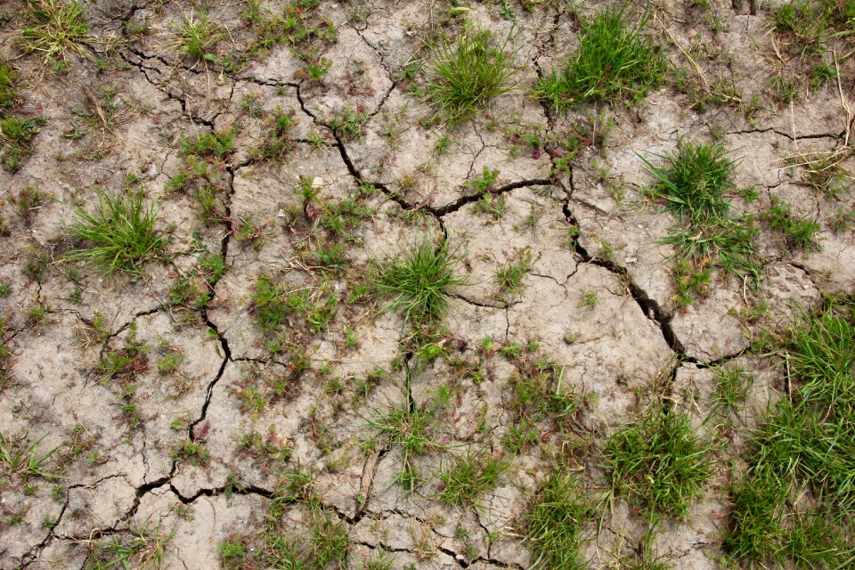 Cracks drought ground