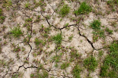 Cracks drought ground photo