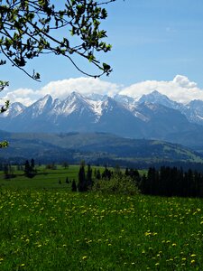 Landscape the national park nature
