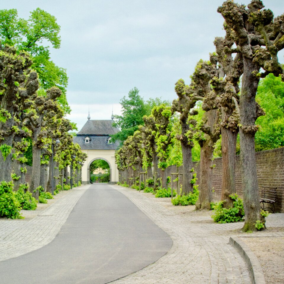 Passage away trees
