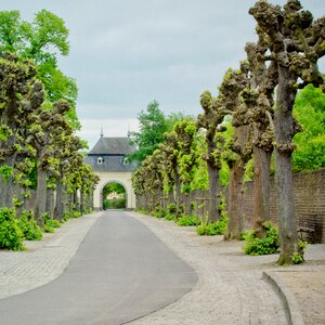 Passage away trees photo