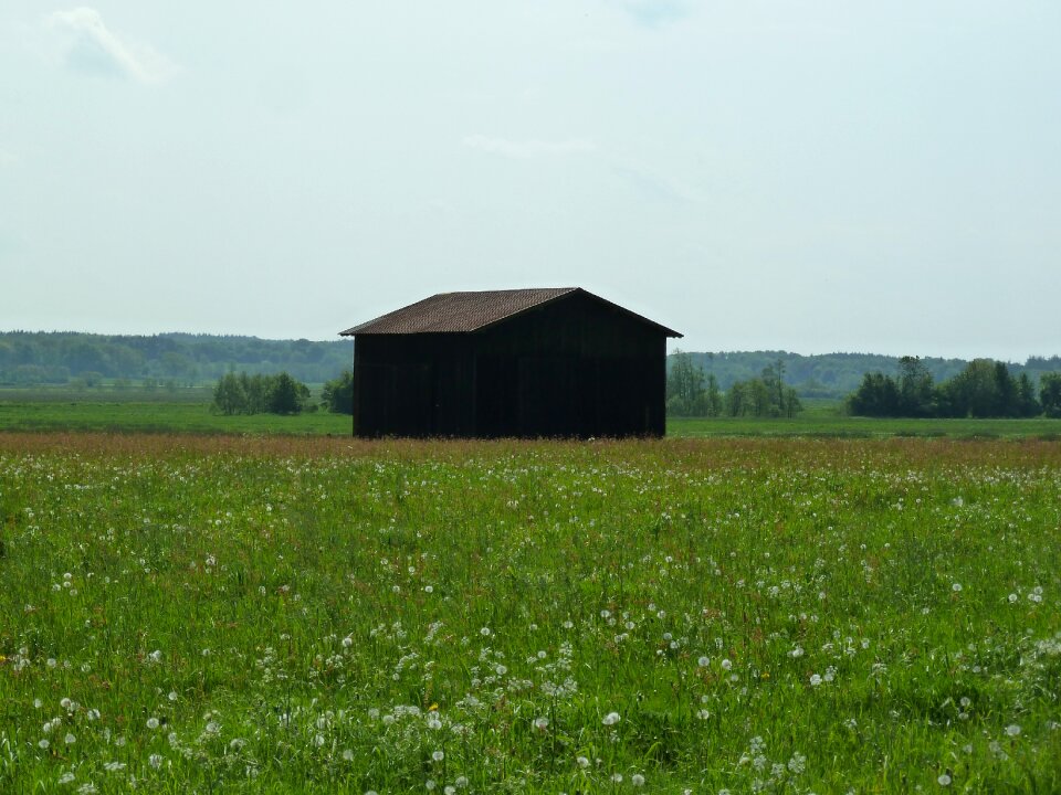 Meadow nature landscape