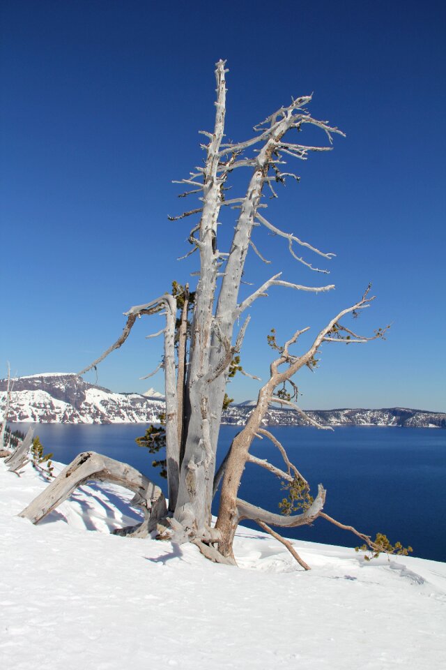 Lake winter nature