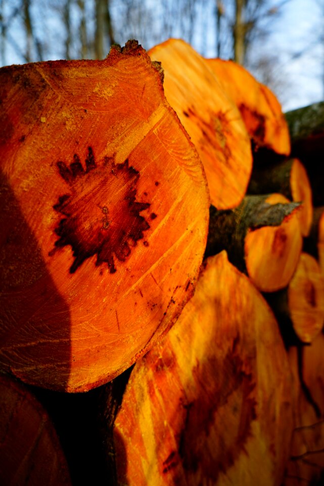Forestry holzstapel sawn