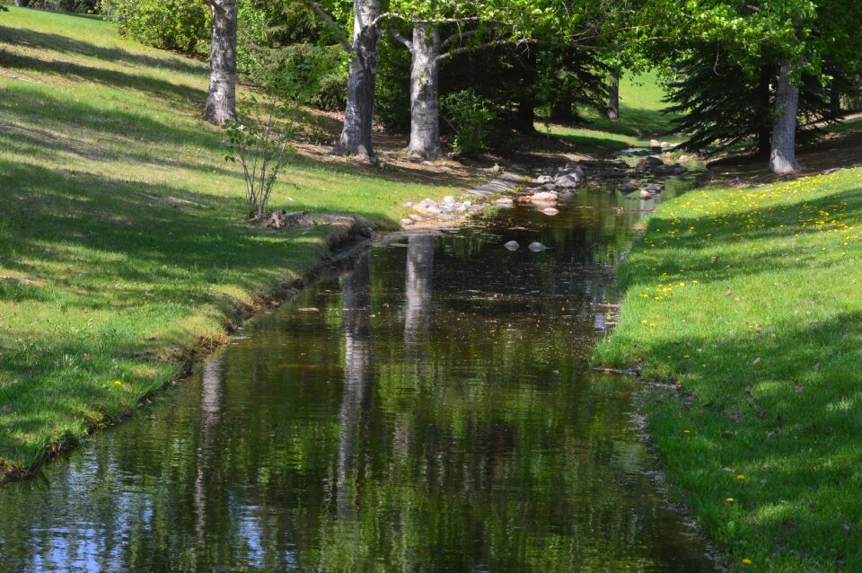Park water nature