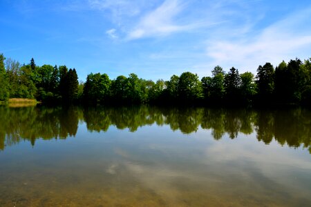 Landscape trees water photo