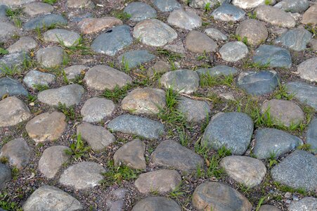 Texture grass stone photo