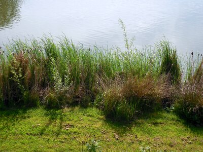 Water waters embankment photo