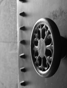Black white handle door