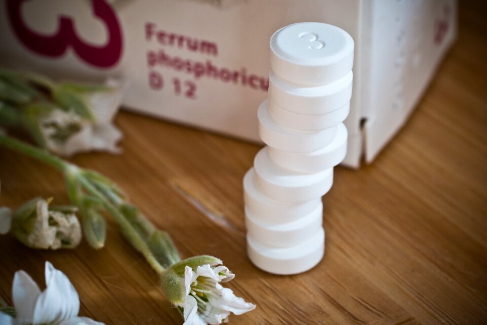 Naturopaths alternative therapy animal heilpraktiker