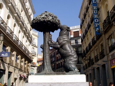 Madrid spain bear and arbutus