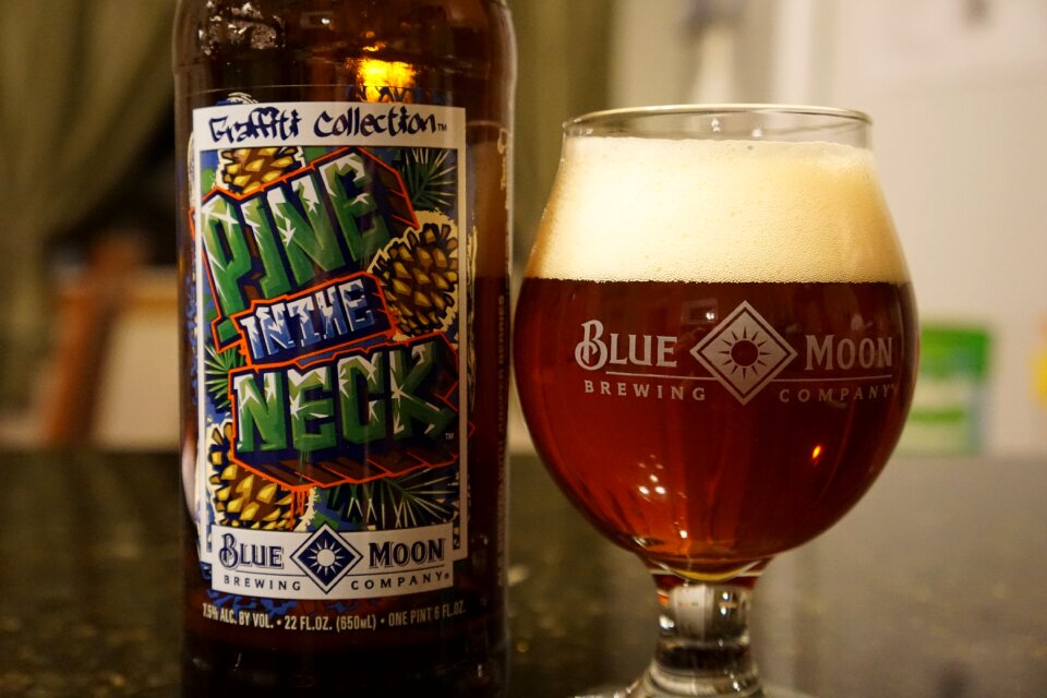 Snifter glass craft beer ipa