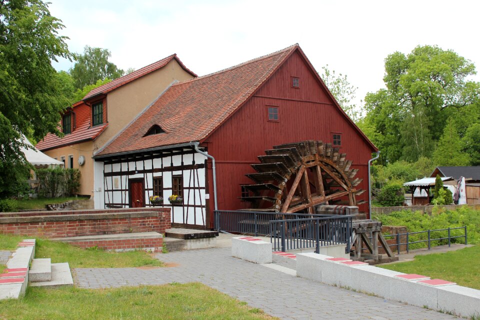 Flour mill mill wheel shellers