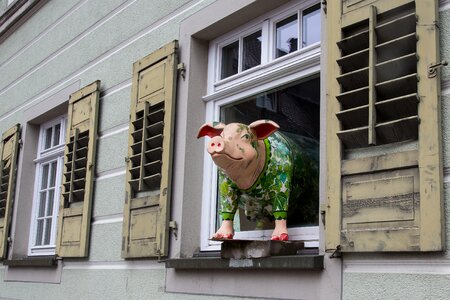 Tettnang window curiosity