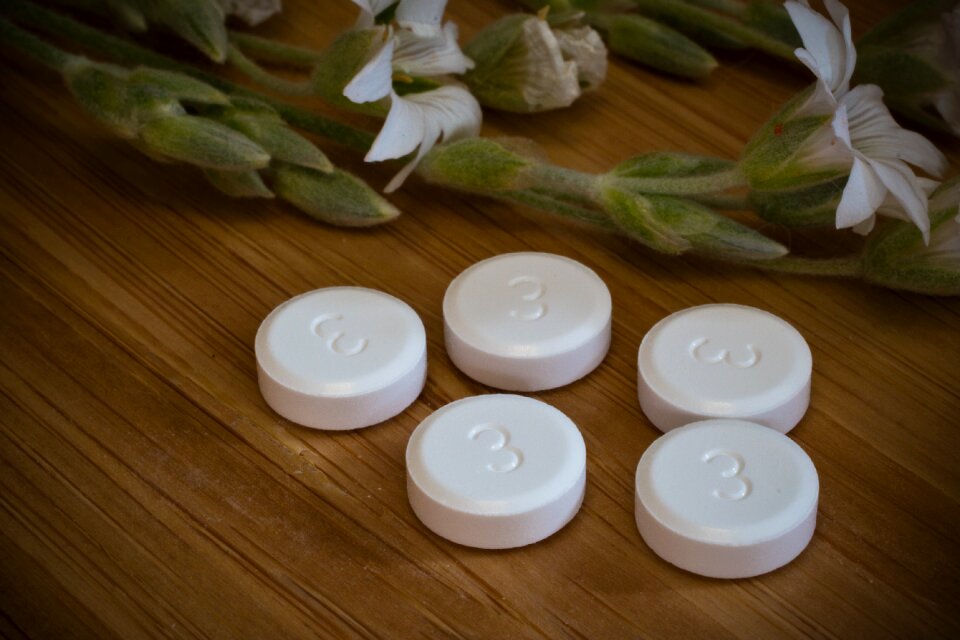 Naturopaths alternative therapy animal heilpraktiker