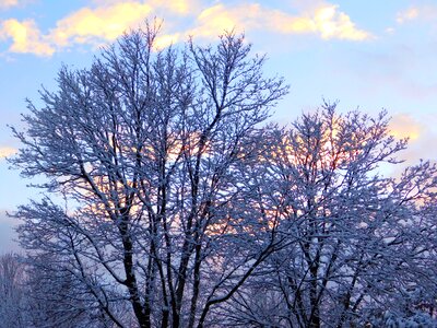 Sunset sky cold