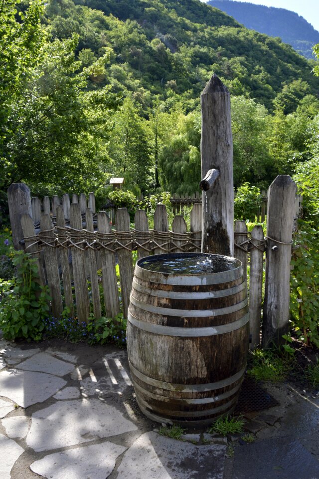 Water tank decoration container