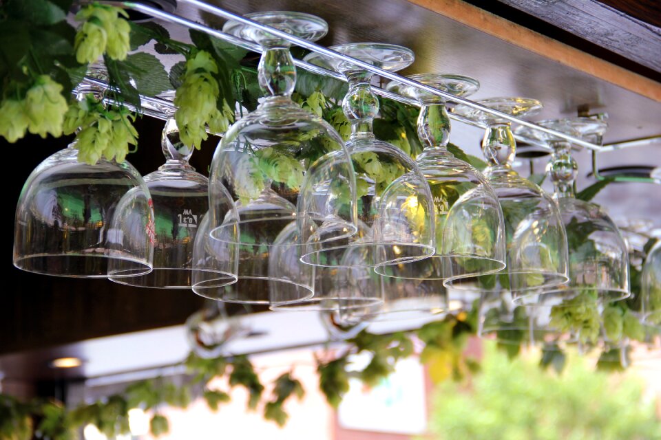 Gastronomy wine glass glasses