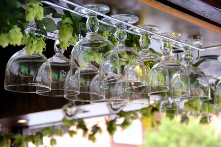 Gastronomy wine glass glasses