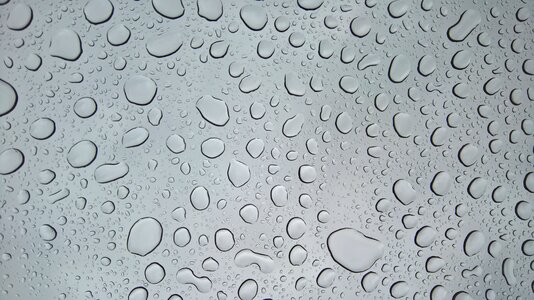 Drop water rain raindrops photo