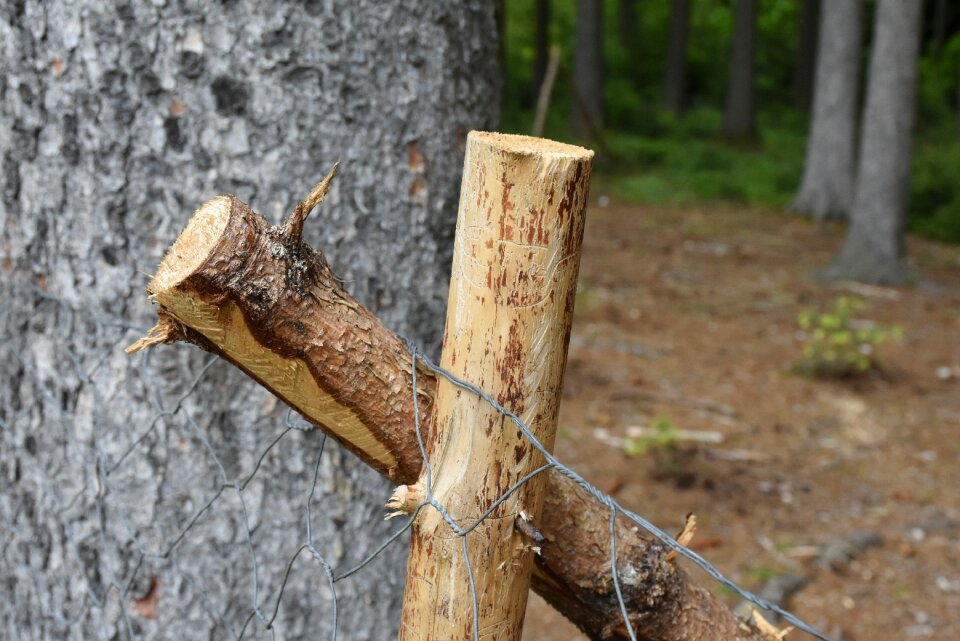 Fence barbed wire fixing photo