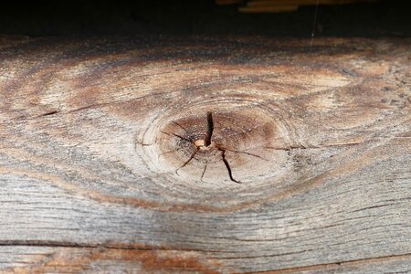 Knothole weathered structure