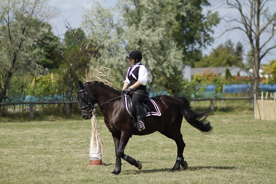 Woman horse sport
