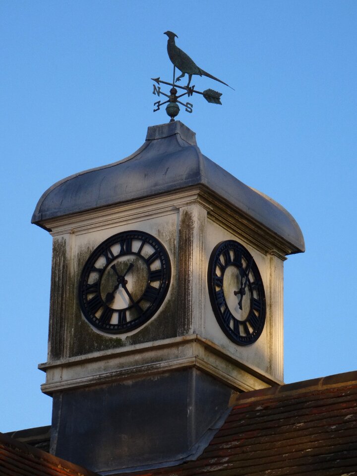 Aged windvane weathervane