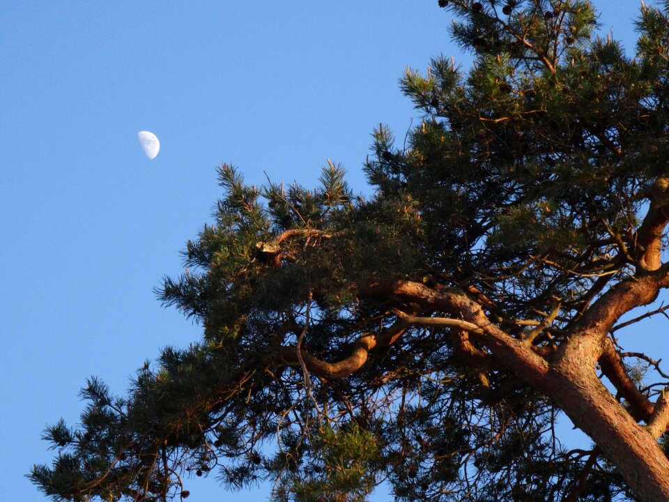 Dusk blue sky evening