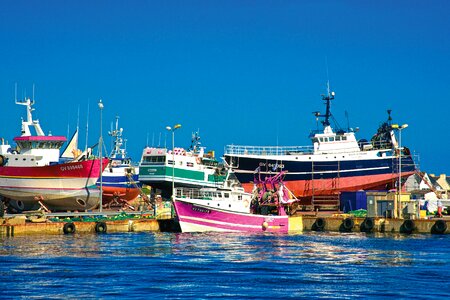 Sea sun tug photo