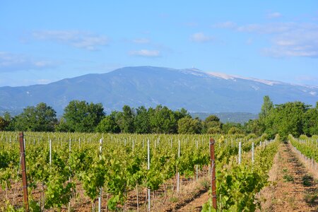 Nature mont ventoux panorama