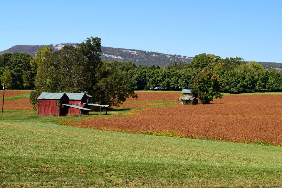 Fields landscape countryside