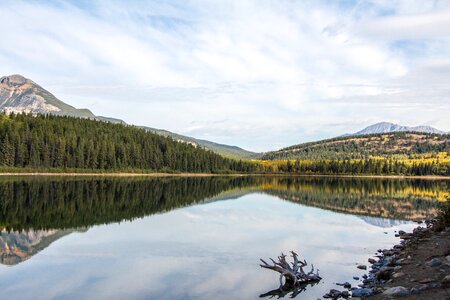 Canada park alberta photo