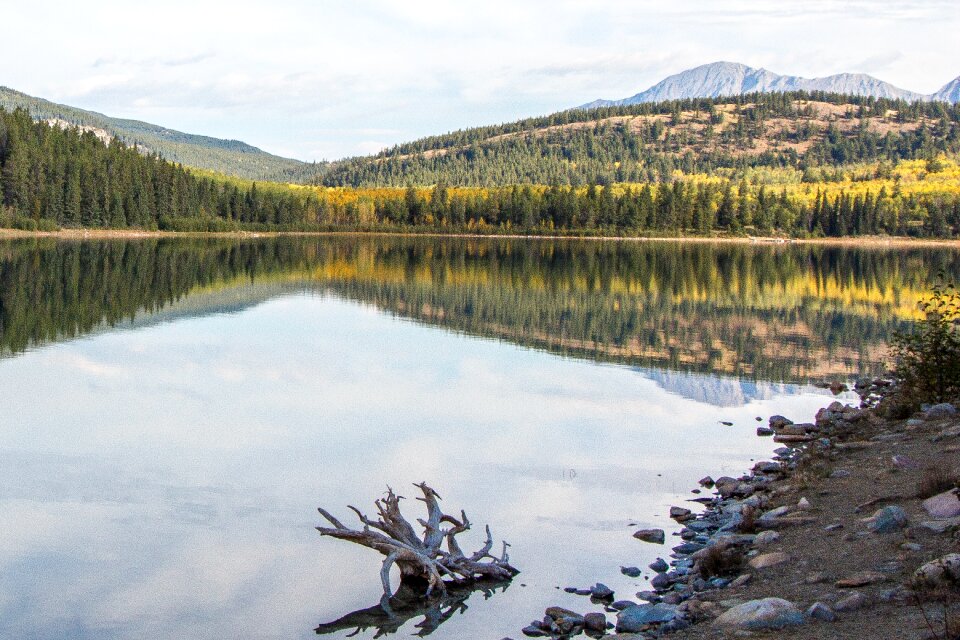 Canada park alberta photo