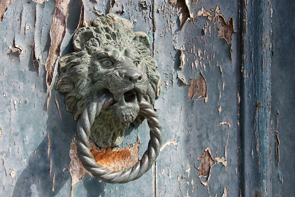 Doorknocker lion head old