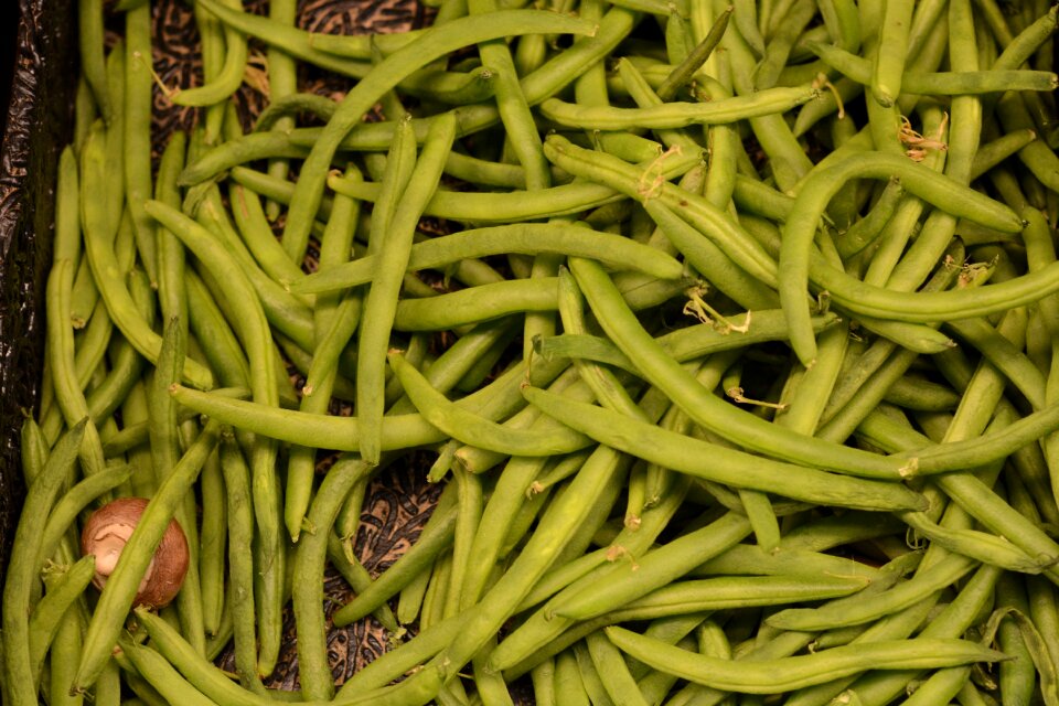 Nutrition healthy diet