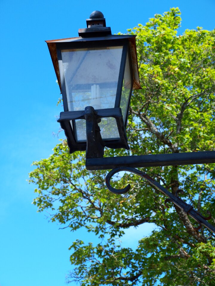 Sky blue lamp tree