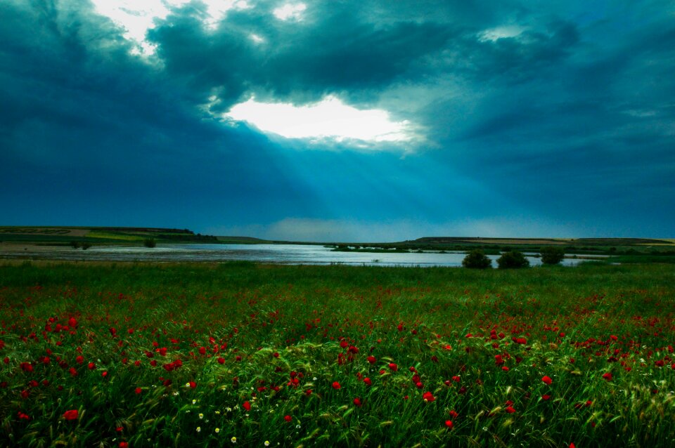 Highlights light landscape
