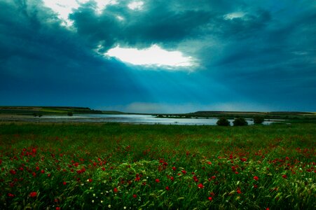 Highlights light landscape