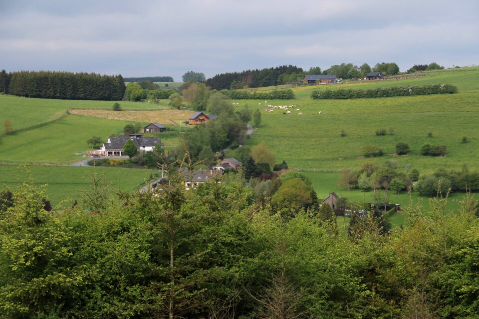 Landscape meadow nature