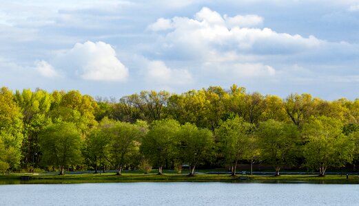 Fresh green green yellow photo