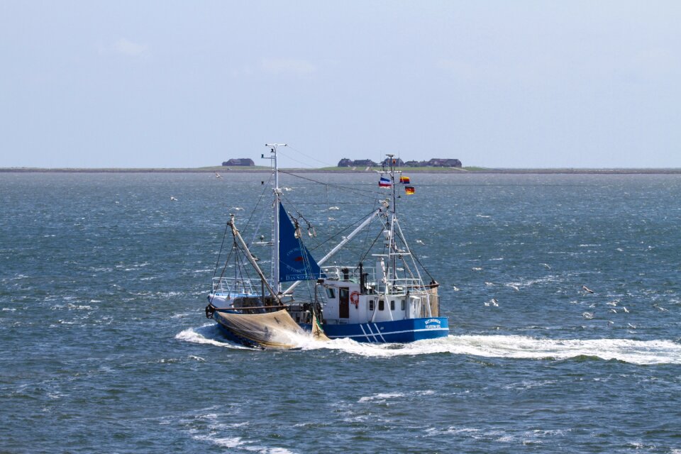 Networks hallig nordfriesland