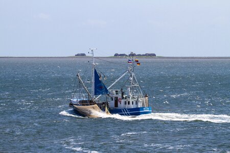 Networks hallig nordfriesland