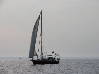 Evening sea sails photo