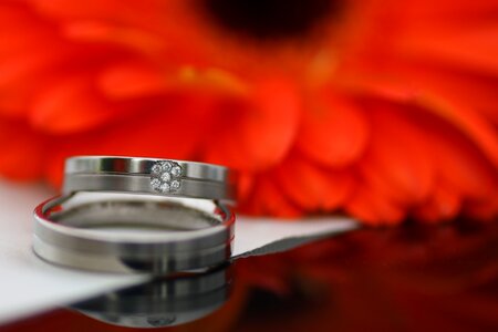 Love romance wedding rings