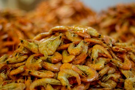 Shrimp mar beach