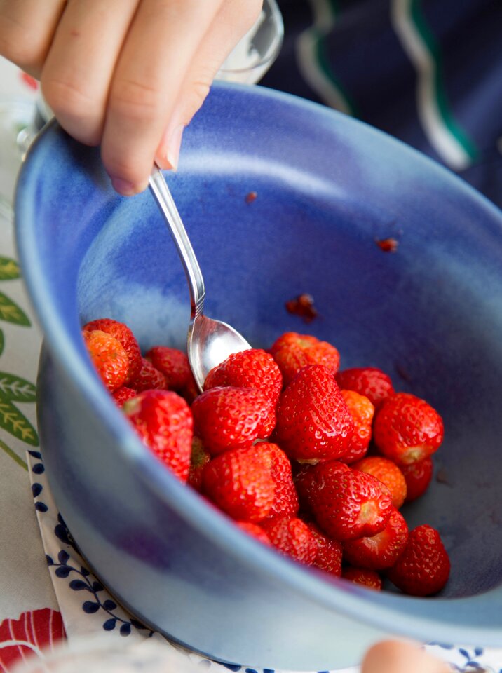 Red dessert berry
